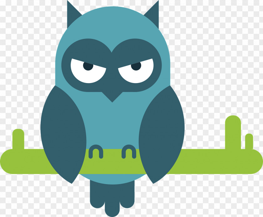 Owl Comics Cartoon PNG