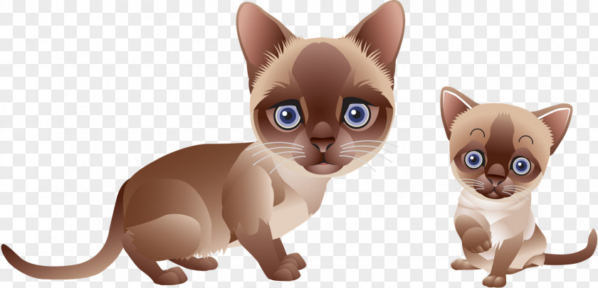 Tai Kitten Devon Rex Burmese Cat Vector Clip Art PNG