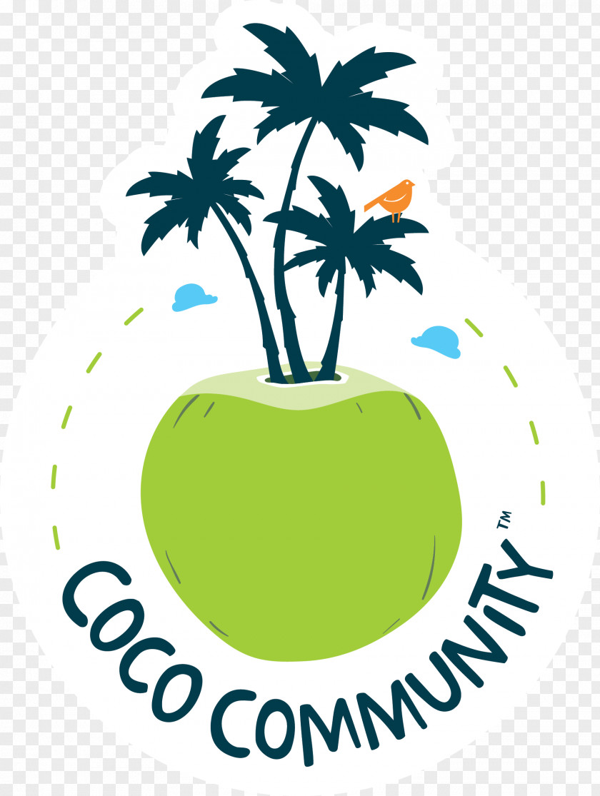 Vita Coco Varieties Coconut Water Fruit Organic Food Milk PNG