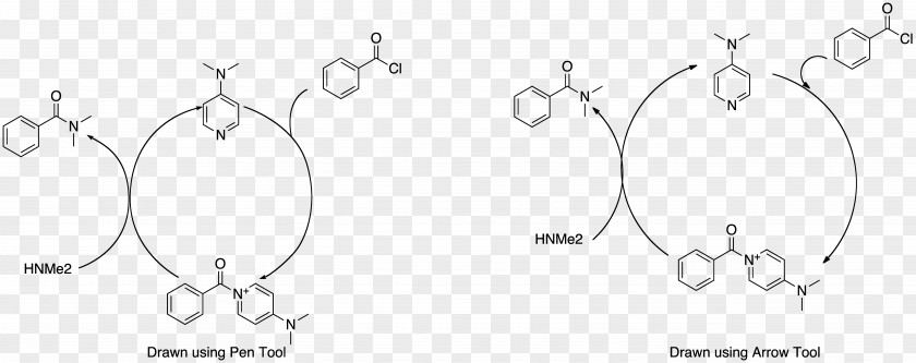 Catalytic Cycle Earring Body Jewellery Material Line Art PNG