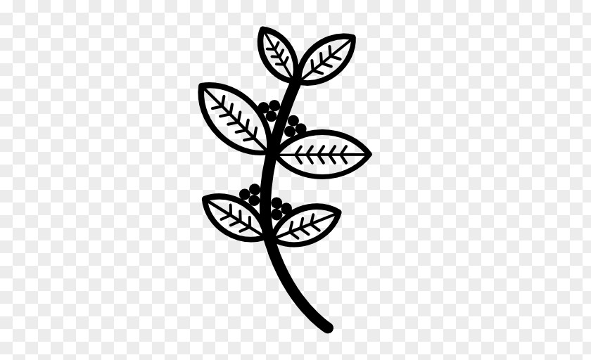 Flower Plant Leaf Black-and-white Font PNG