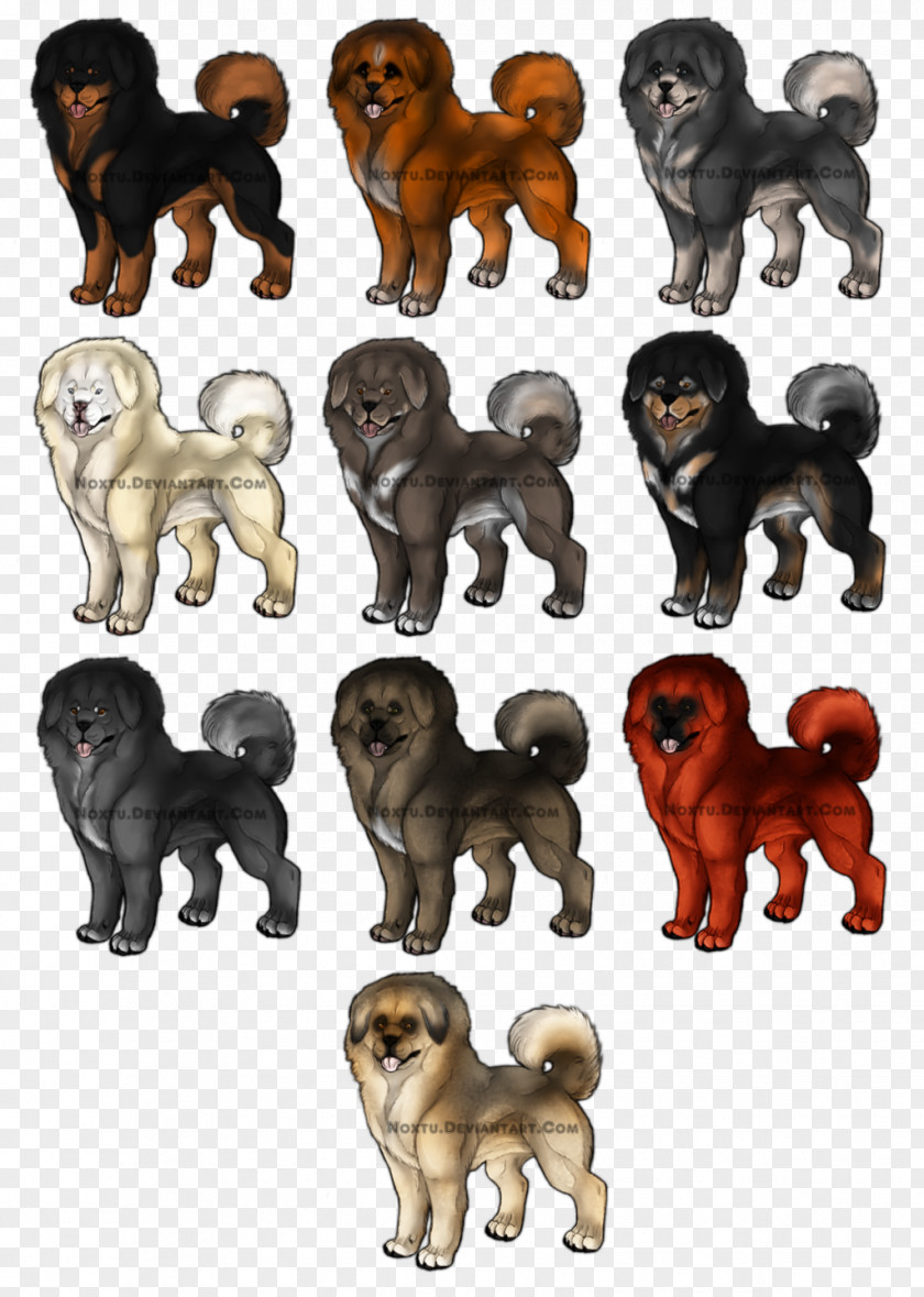 Puppy Dog Breed Rottweiler Tibetan Mastiff English PNG