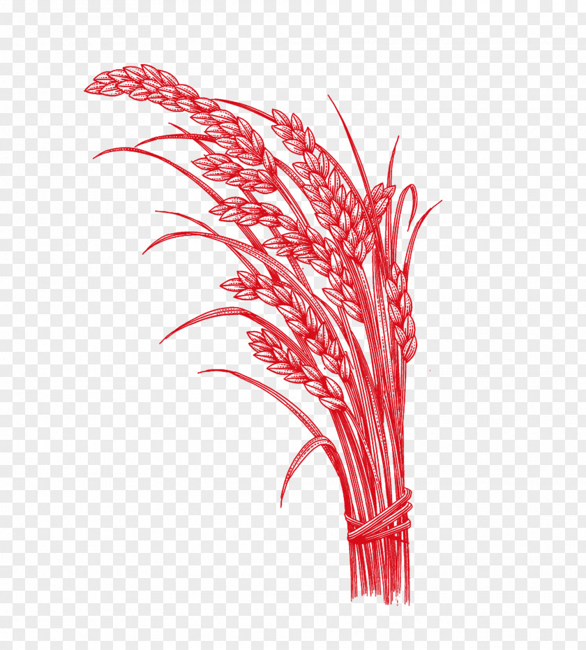 Red Rice Five Grains U6742u8c37 PNG