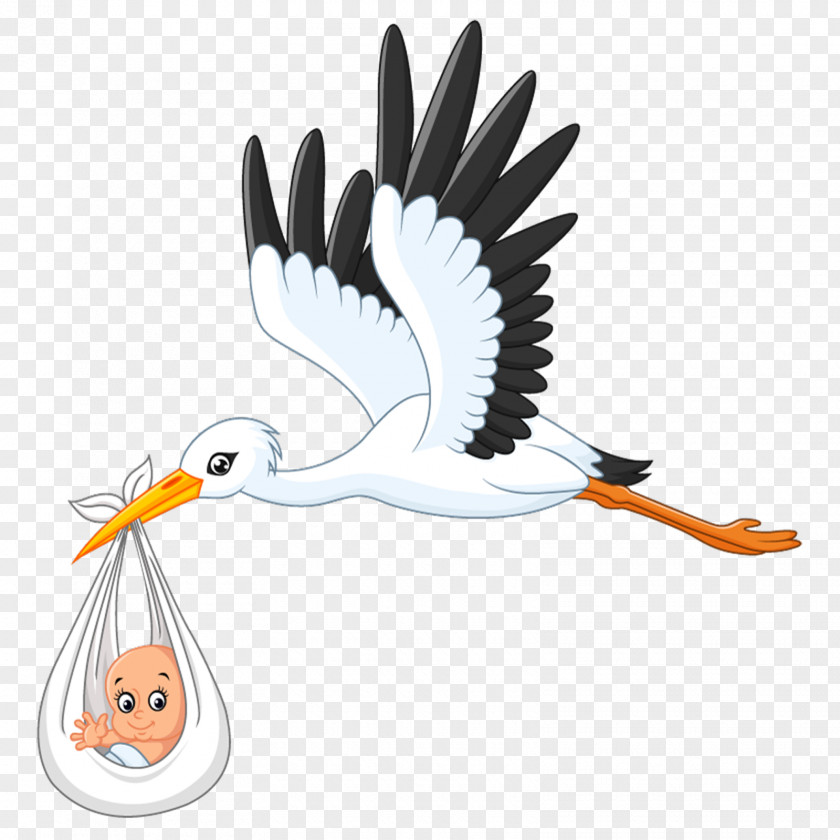 Baby Background White Stork Infant Clip Art PNG