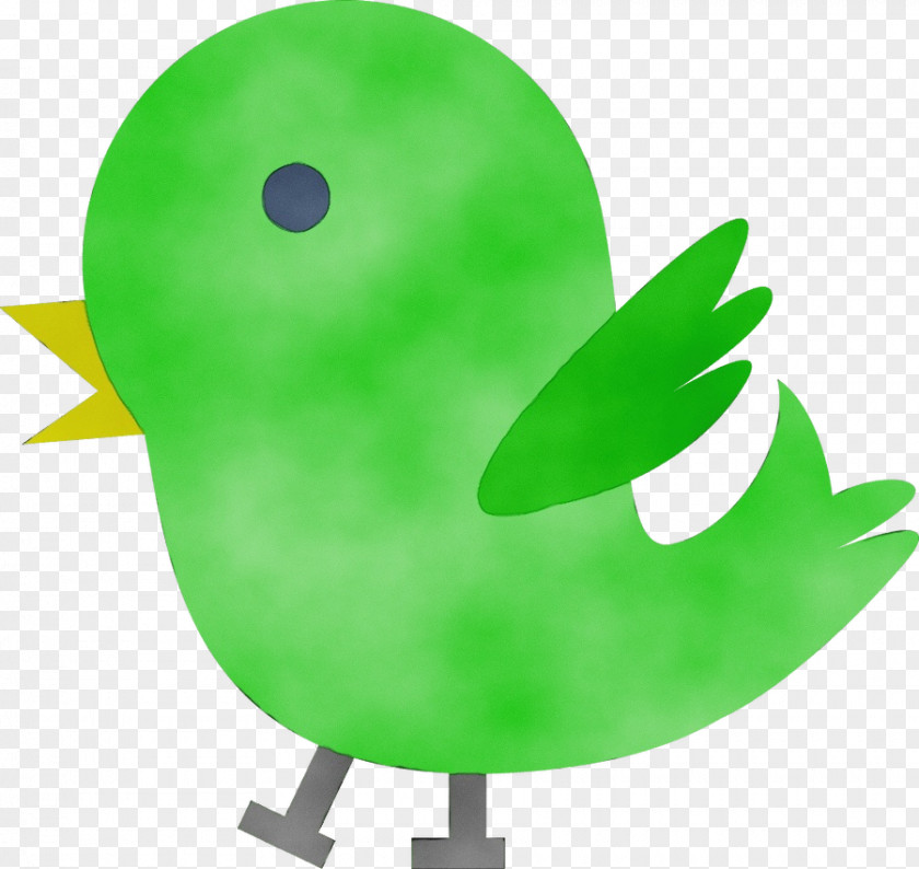 Birds Duck Beak Cartoon Amphibians PNG