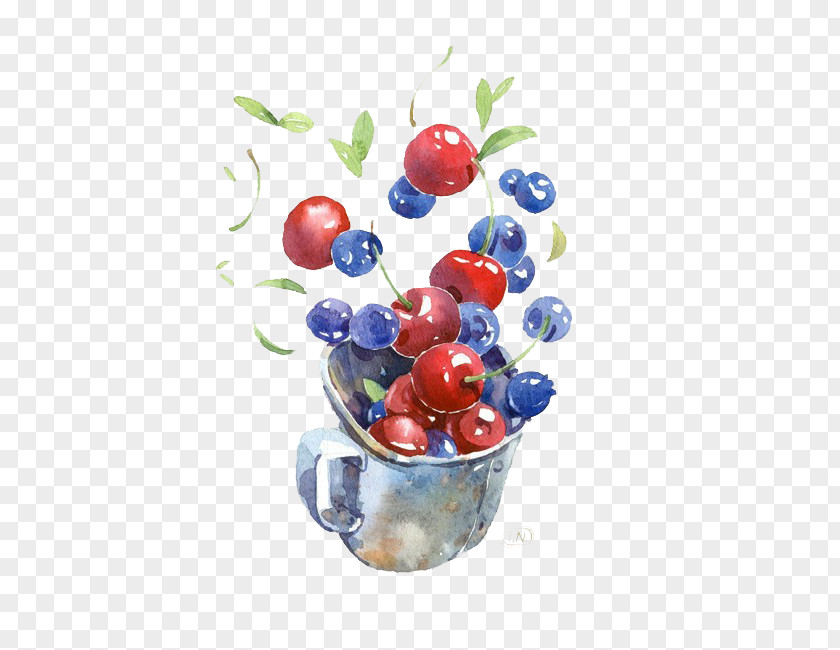 Blueberry And Cherry Fruit Watercolor Painting Drawing Illustration PNG