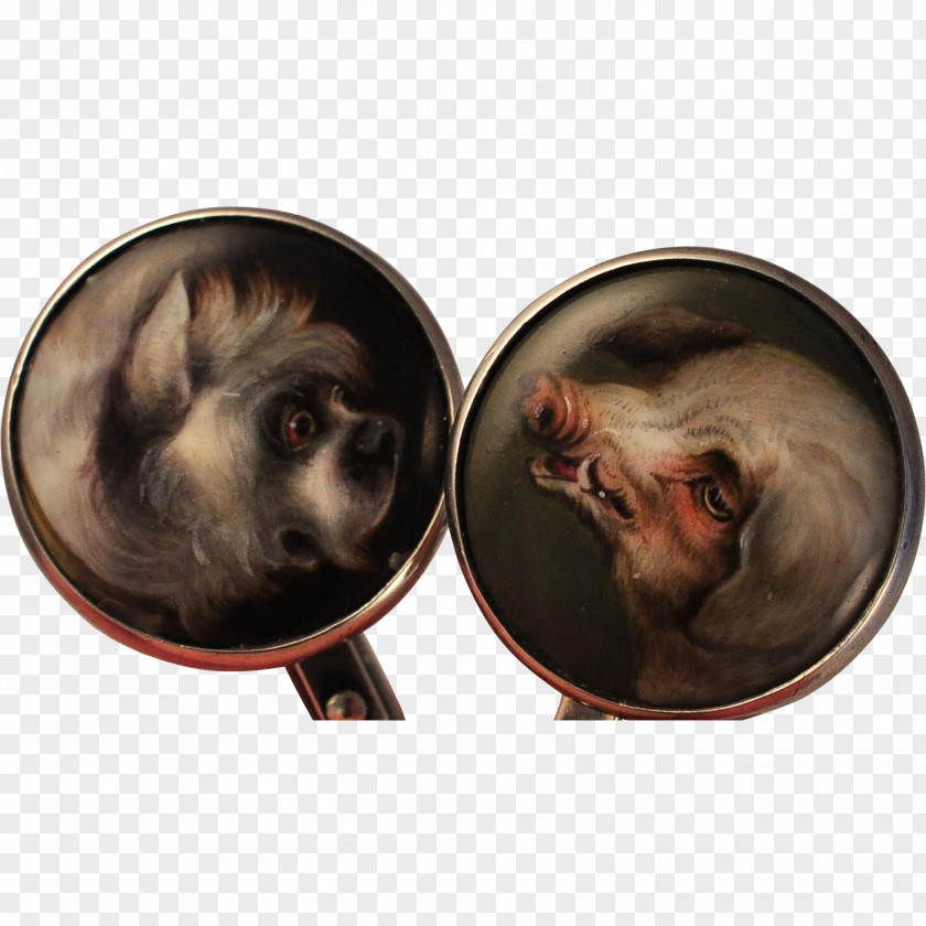Boar Dog Snout Canidae Animal Ear PNG