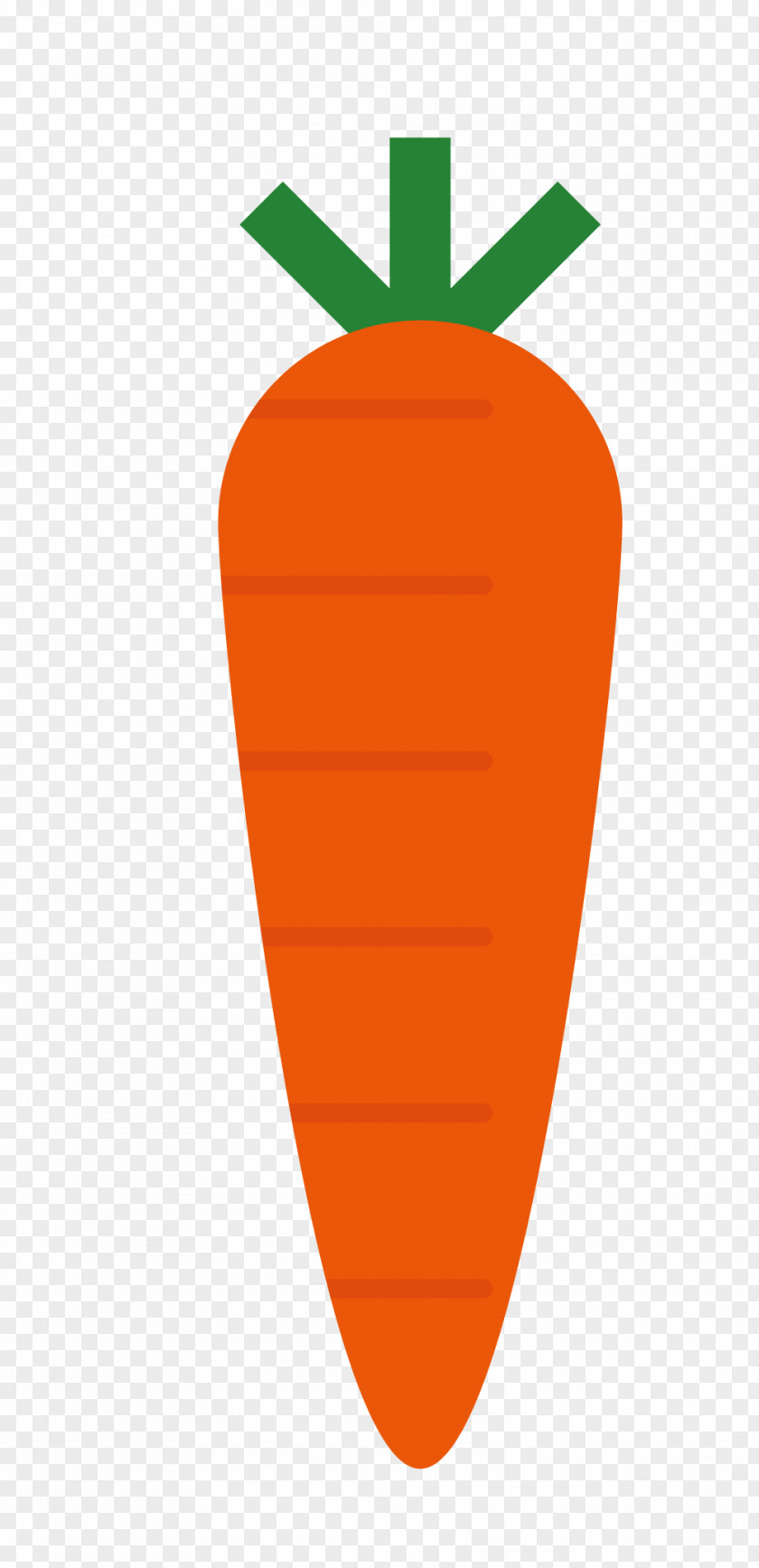 Cartoon Carrot Radish PNG