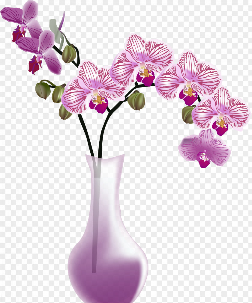 Flower Vase Orchids Clip Art PNG