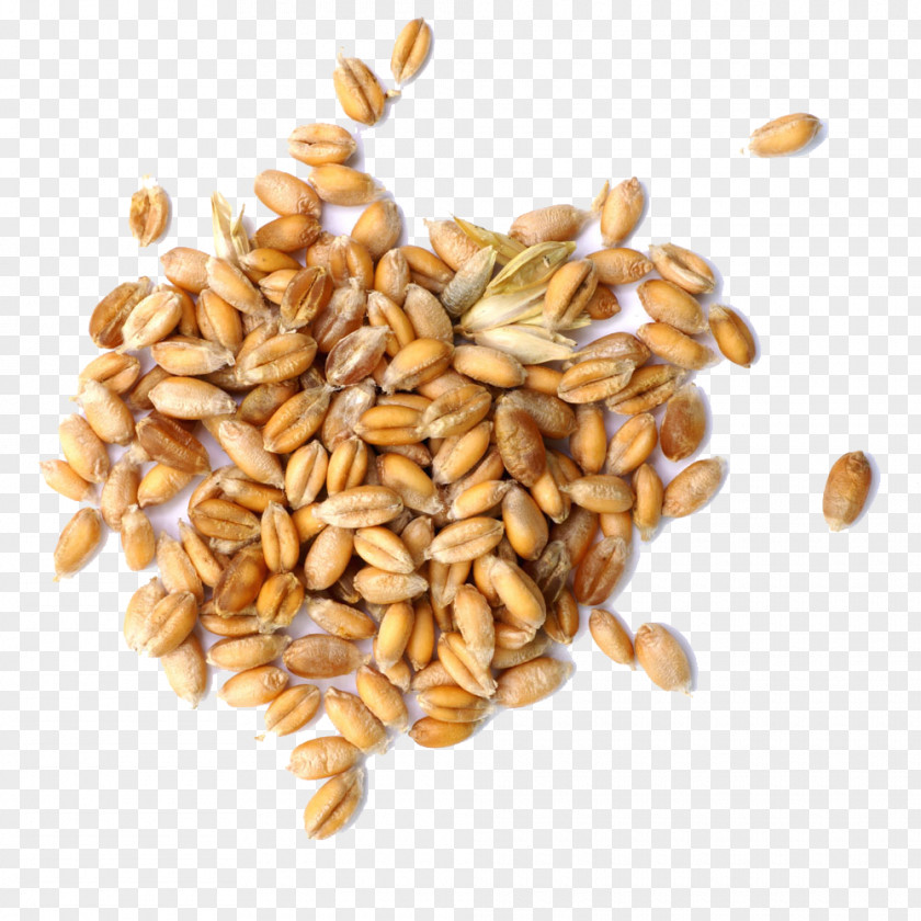 Germinated Wheat Will Buckle Creative HD Free Cereal Market Analysis Food Grain PNG