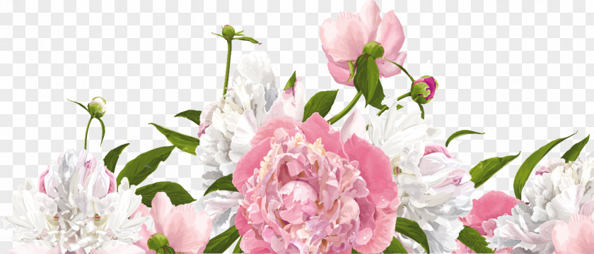 Peony Photography Flower Clip Art PNG