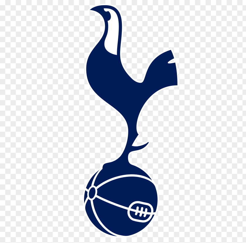 Premier League Tottenham Hotspur F.C. FA Cup Ossie's Dream Football PNG
