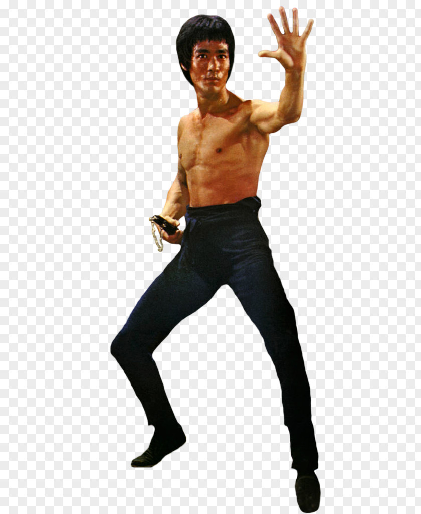 The FighterBruce Lee Bruce PNG