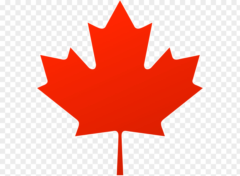 Canada Maple Leaf Clip Art PNG