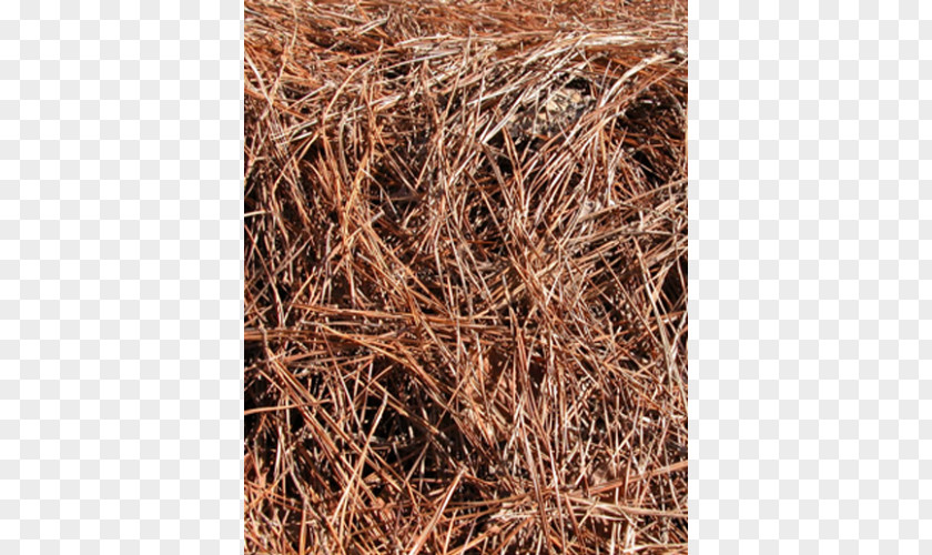 Pine Needles Straw Mulch Scrap PNG
