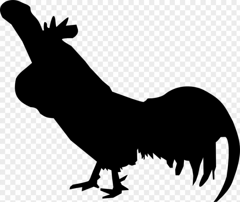 Rooster Cock A Doodle Doo Leghorn Chicken Ayam Cemani Long-crowing PNG