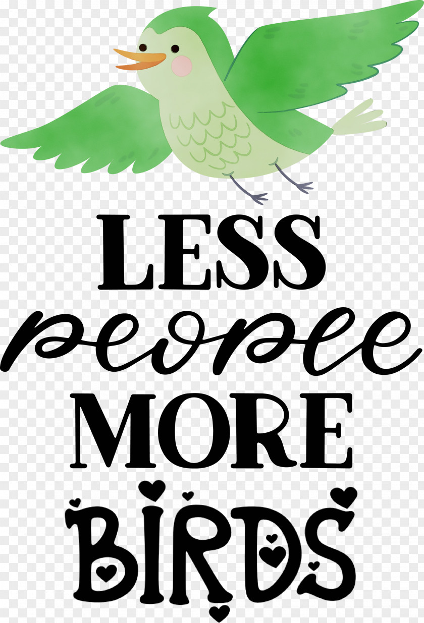 Birds Logo Meter Beak Tree PNG