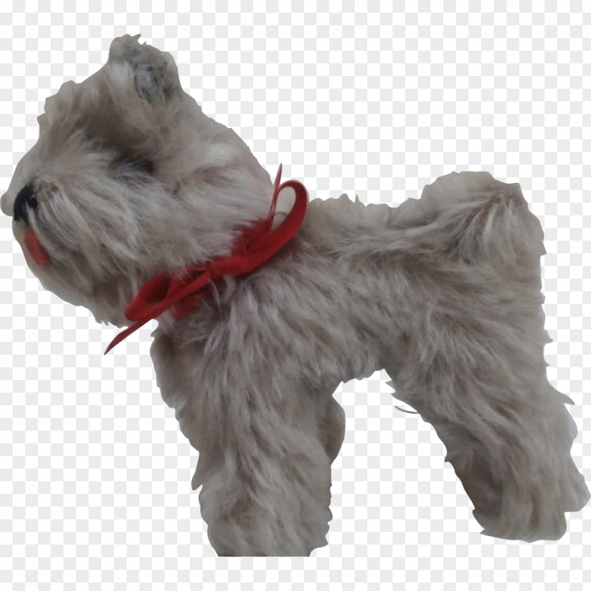 Miniature Schnauzer Soft-coated Wheaten Terrier Schnoodle Tibetan Companion Dog PNG