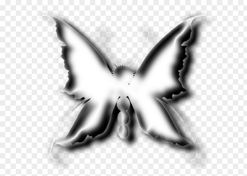 Vas Moth Symmetry White Font PNG
