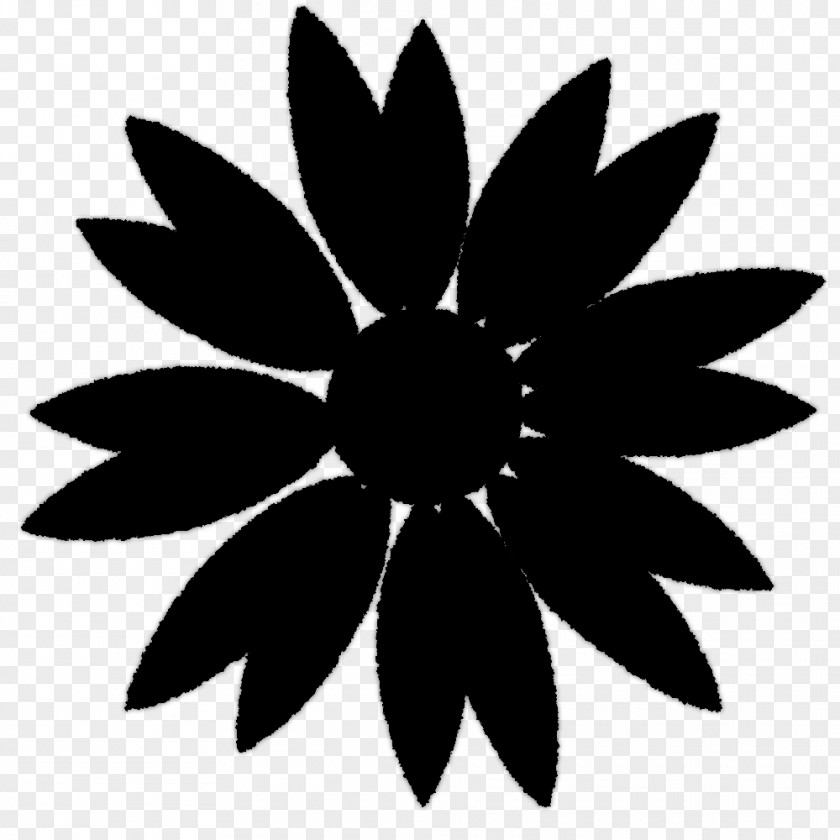 Vector Graphics Flower Stock Photography Floral Design PNG