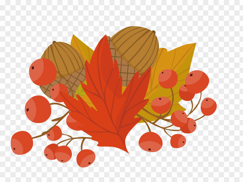 Vector Maple Leaf Autumn Illustration PNG