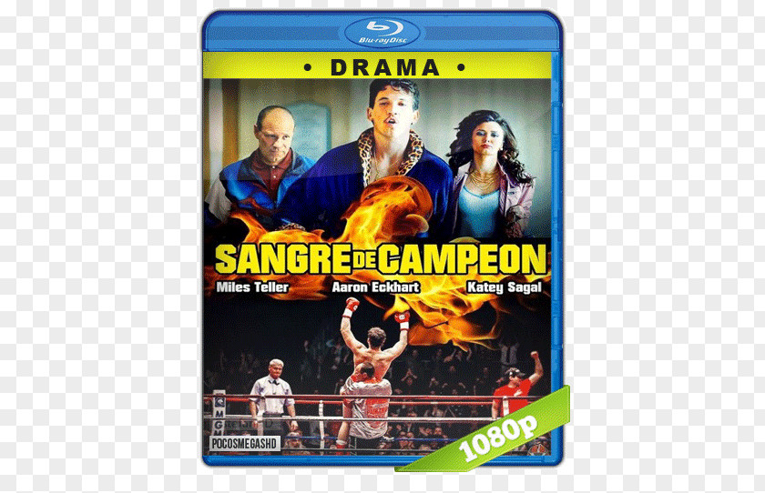 Actor Hollywood Film Streaming Media Boxing PNG