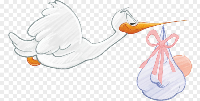 New Baby Cliparts Infant White Stork Diaper Clip Art PNG