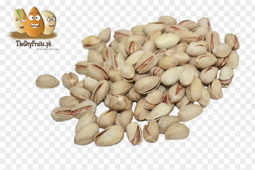 Pistachio Vegetarian Cuisine Nut Food Ingredient PNG