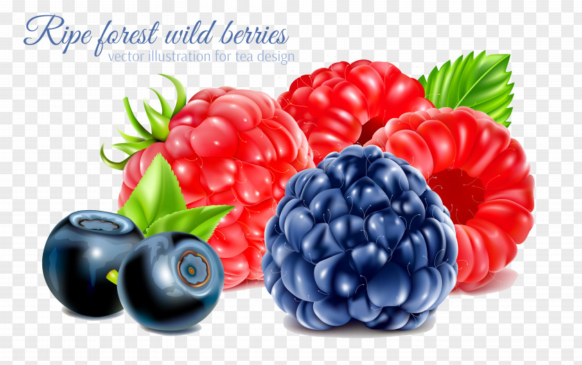 Raspberry Frutti Di Bosco Fruit PNG