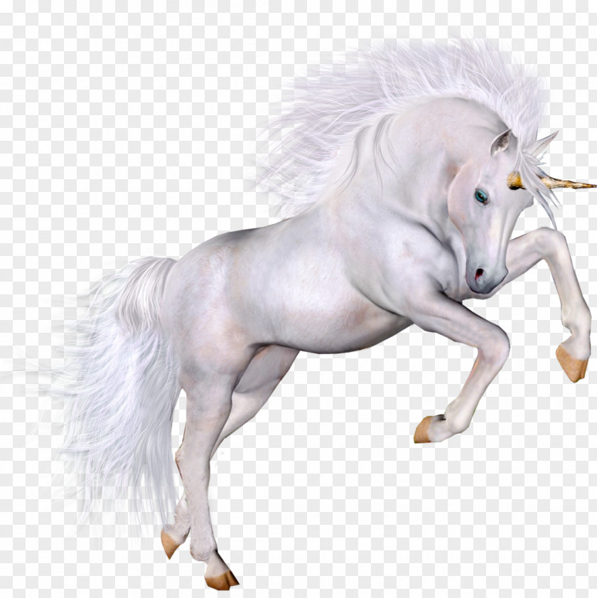 Unicorn Winged Image Clip Art PNG