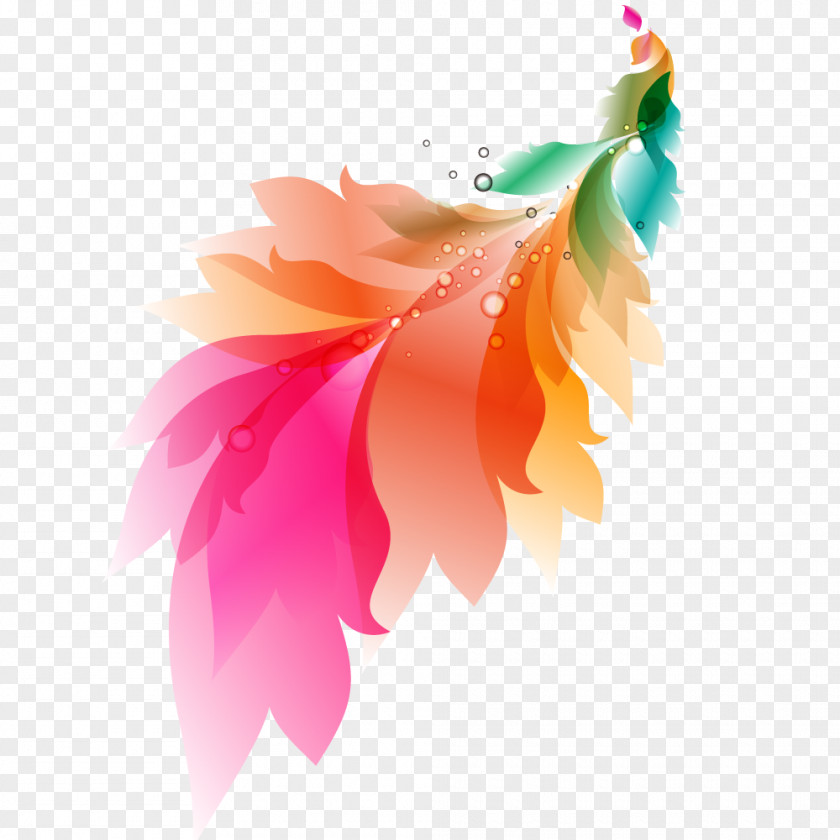 Vector Color Feathers Feather Stock Photography Computer PNG