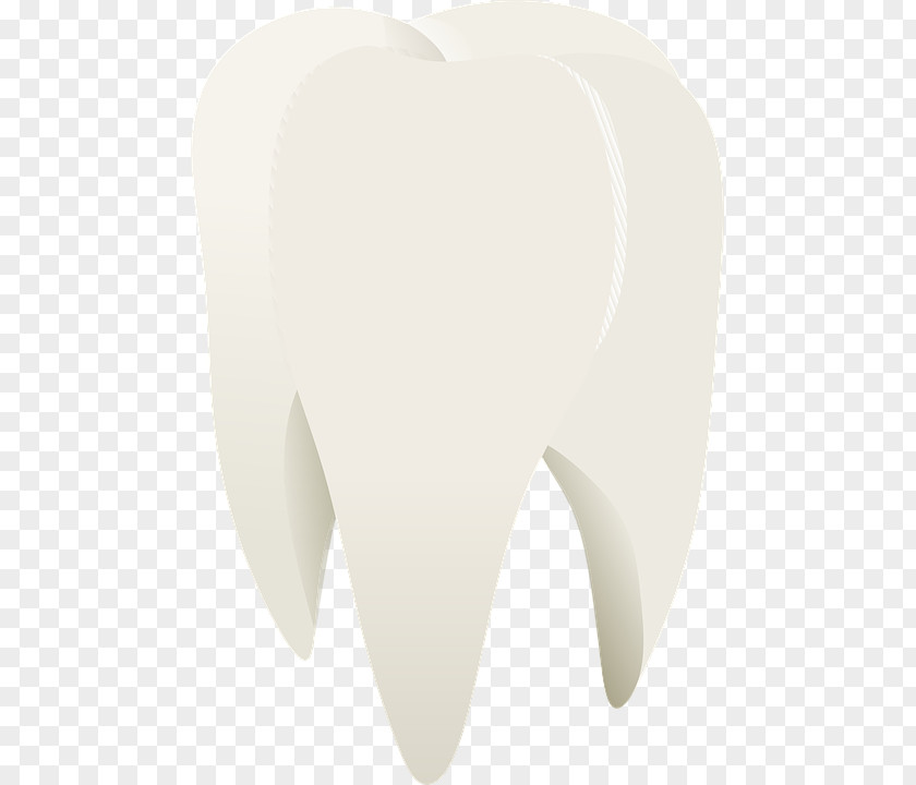 White Teeth Tooth Heart Shoulder PNG