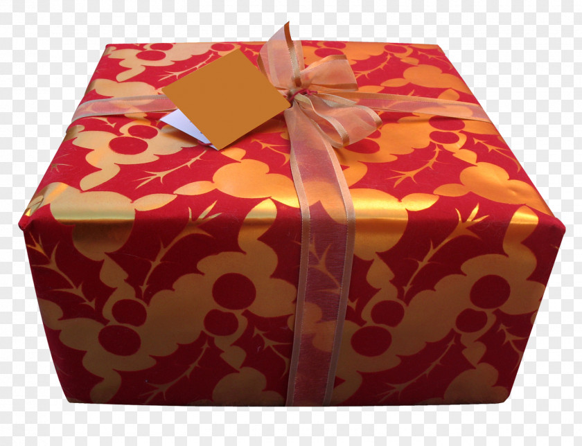 Gift Eidi Santa Claus Birthday Holiday PNG