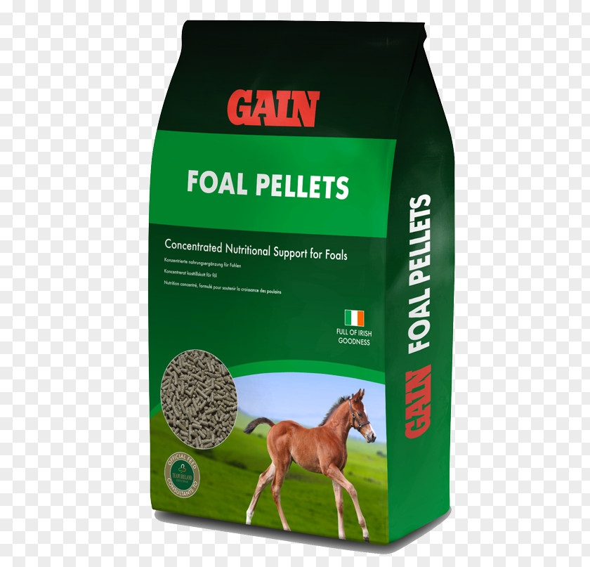 Horse Pony Dog Foal Equine Nutrition PNG
