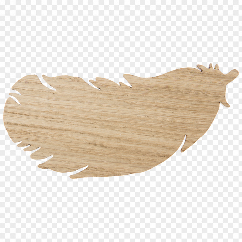 Paper Boat Feather Nursery Hagelens Hook Hygge PNG