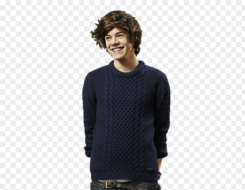Styles Harry One Direction Flower Take Me Home PNG
