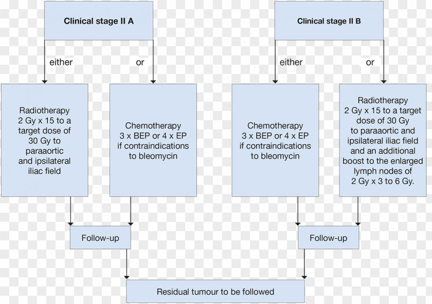 Testicle Testicular Cancer Semantic Scholar Retroperitoneal Lymph Node Dissection Seminoma Chemotherapy PNG