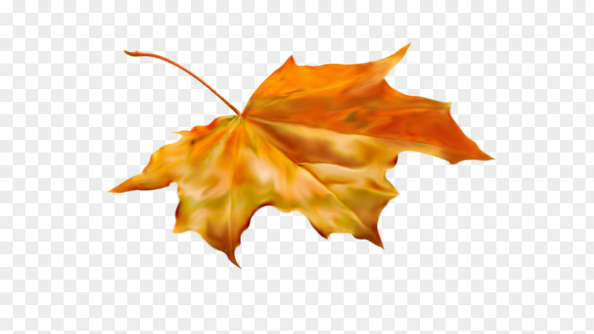 Autumn Leaves Blog Diary PNG