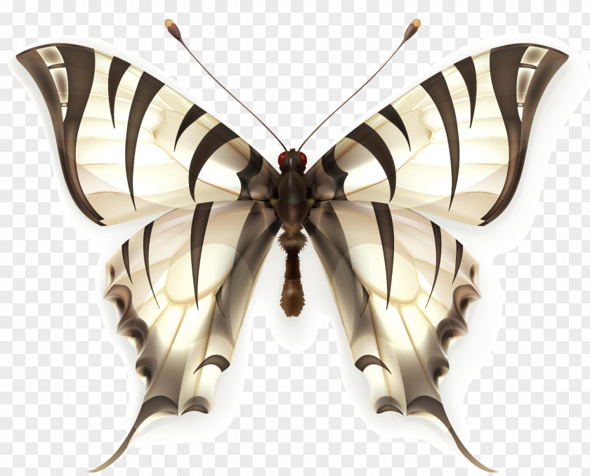 Butterfly Vector Royalty-free Stock Photography Clip Art PNG