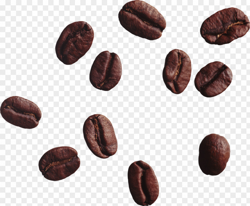 Coffee Beans Bean Espresso Cafe Clip Art PNG