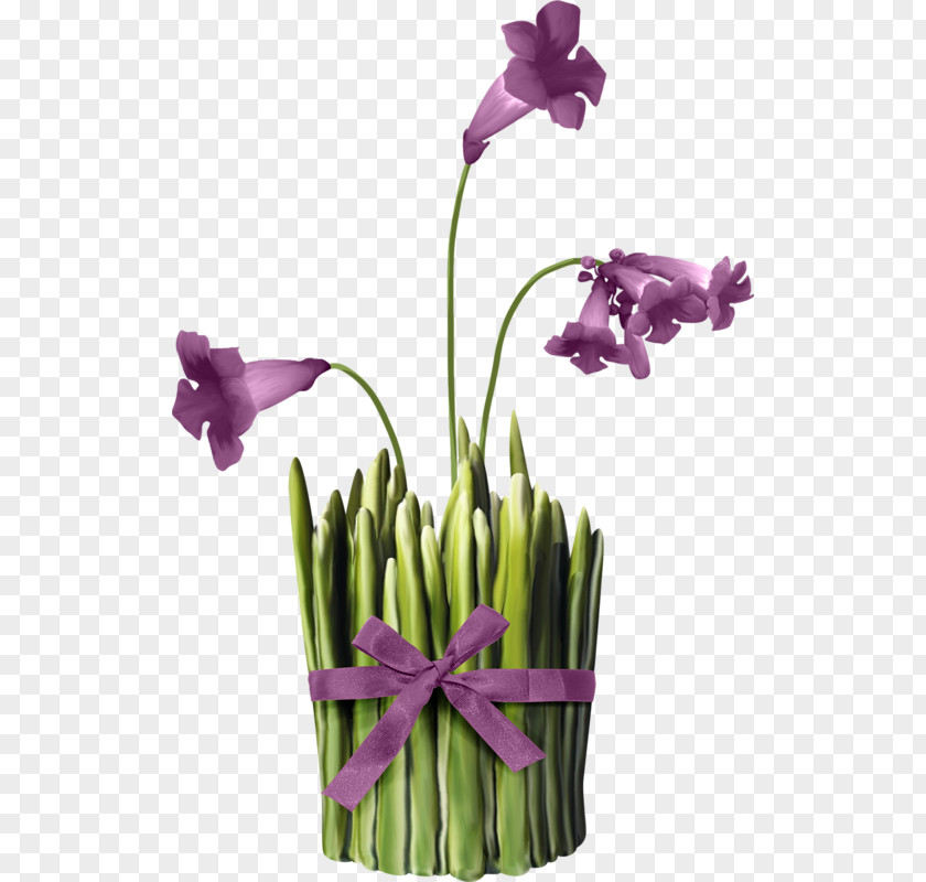 Flower Purple Tulip Clip Art PNG