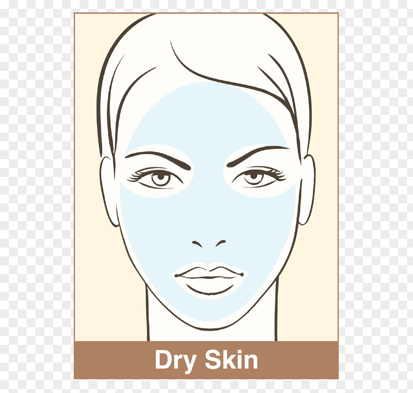 Protect Skin Face Make-up Drawing Eyebrow PNG