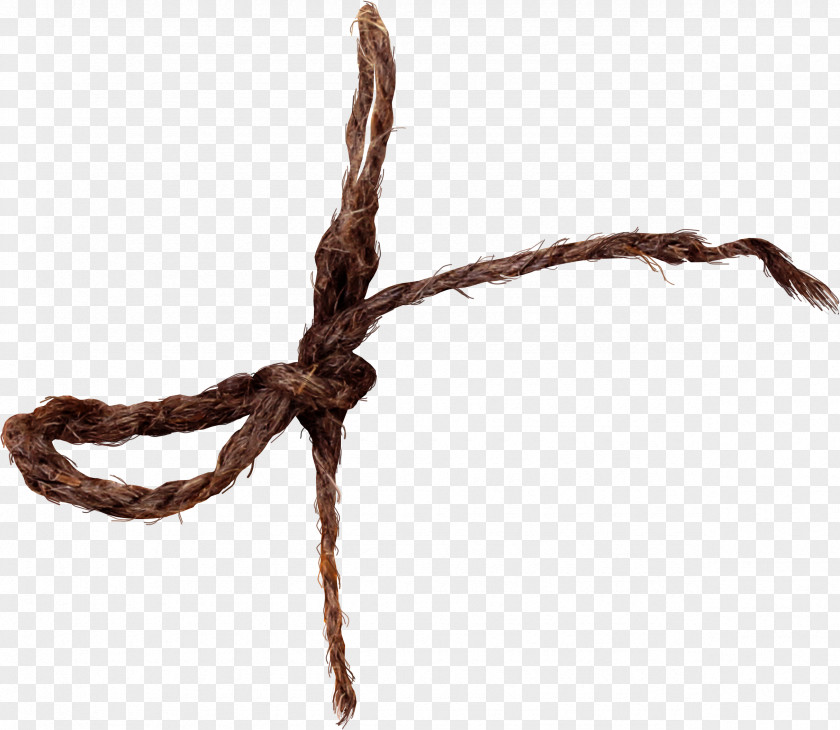 Bow Rope Hemp Knot PNG