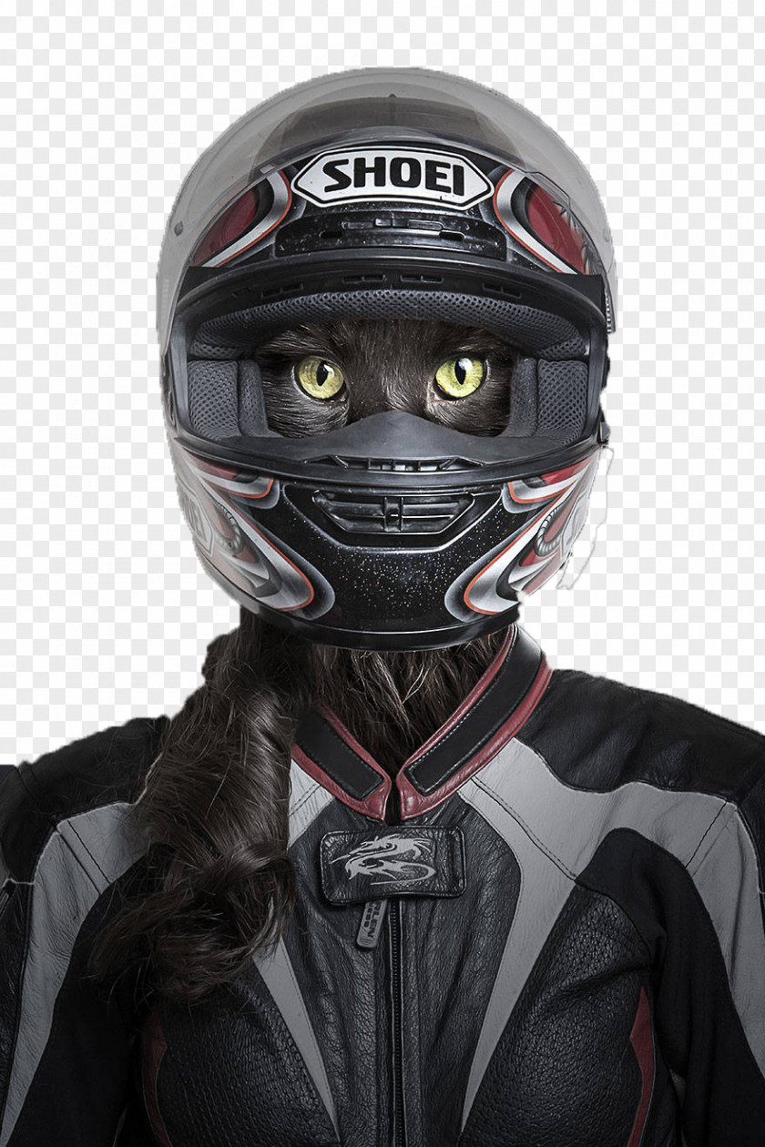 Cat Wearing Helmets Oriental Shorthair Kitten Felidae Photographer Pet PNG