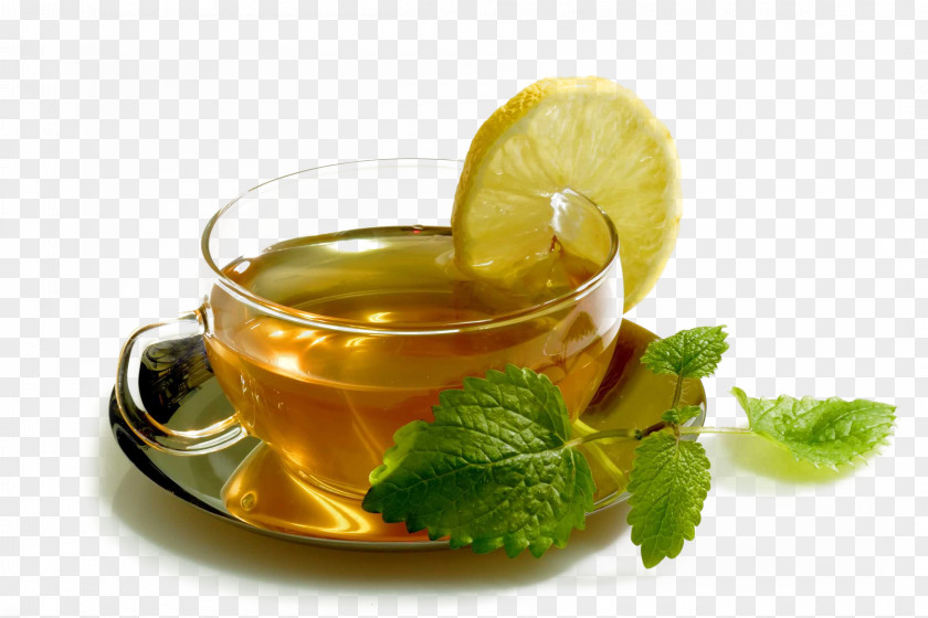 Cup Tea Maghrebi Mint Spearmint Drink Food PNG