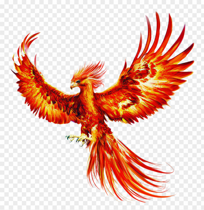 Eagle Wing Bird Of Prey Golden PNG