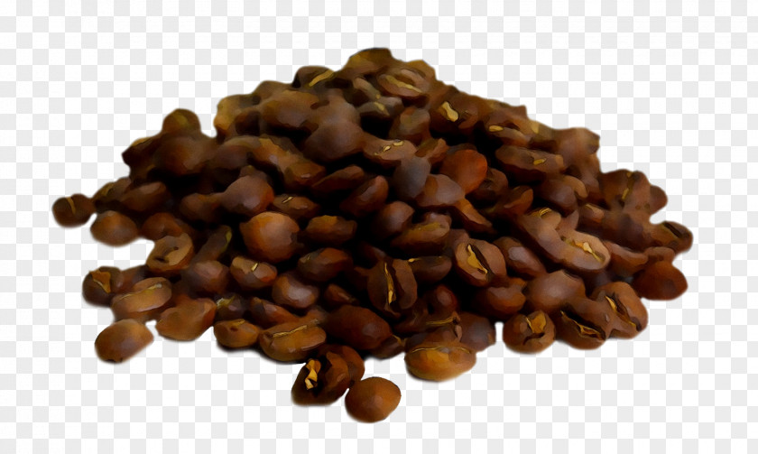 Jamaican Blue Mountain Coffee Commodity Seed Superfood PNG