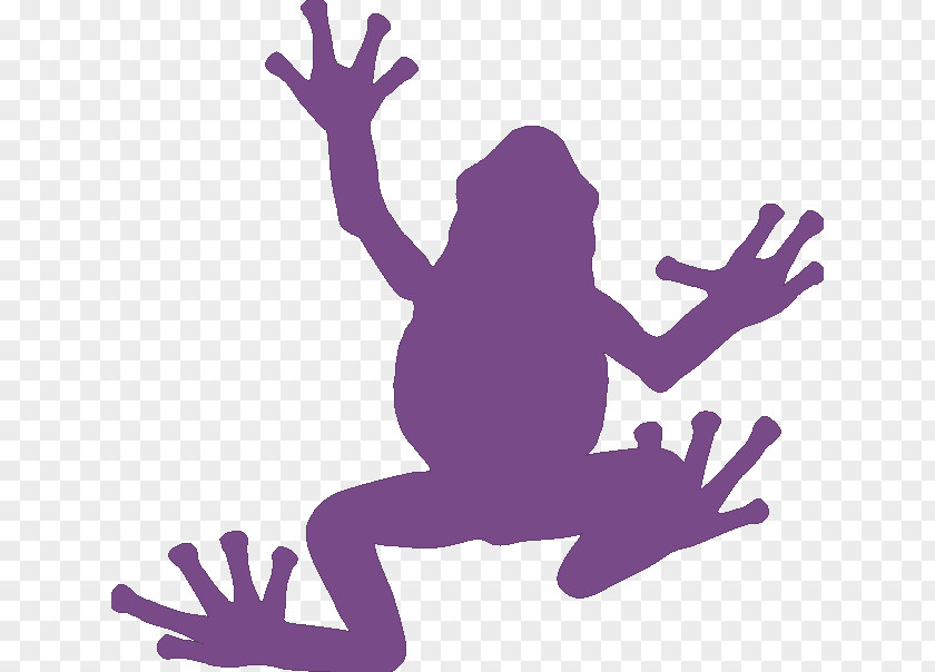 Old Woman Frog Silhouette Clip Art PNG