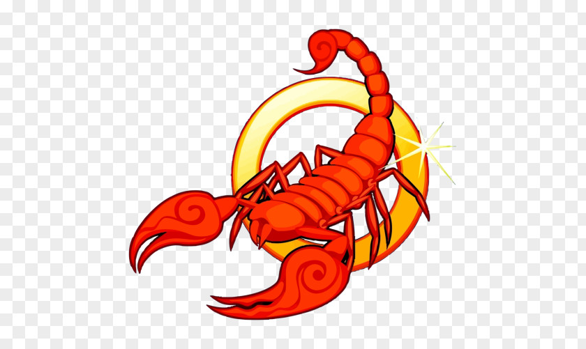 Scorpion Scorpius Astrology Astrological Sign PNG