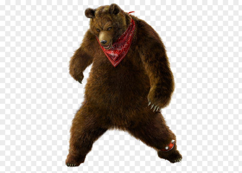 We Bear Bears Tekken Tag Tournament 2 4 7 6 PNG